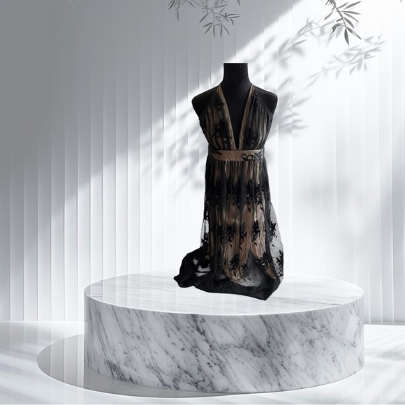 Dresses & Skirts - Elegant Black and Tan Sheer Dress